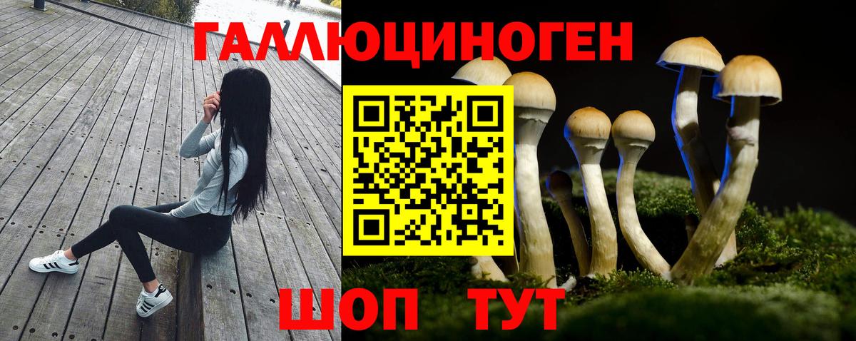 Галлюциногенные грибы Psilocybe  Вход с VPN  Надым 